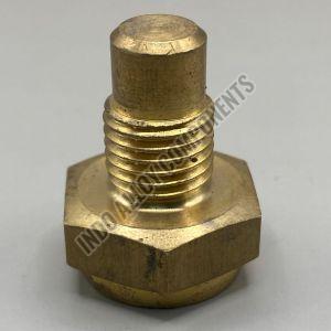 Brass Hex Temperature Sensor Bolt Polished