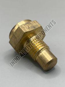 Brass Hex Temperature Sensor Bolt Polished