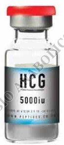 Human Chorionic Gonadotropin Hcg 5000iu