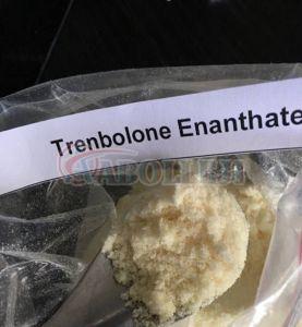 Trenbolone Enanthate Powder