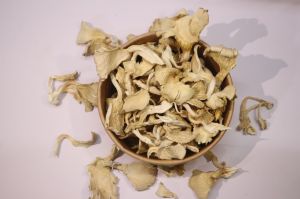 A Grade Dry Oyster Mushroom