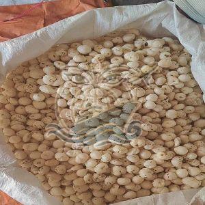 7 Suta Phool Makhana