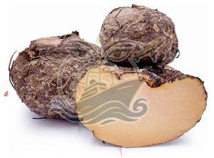 A Grade Elephant Yam