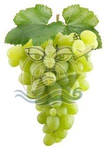 A Grade Fresh Green Grapes