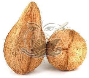 A Grade Fresh Semi Husked Coconut