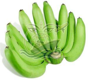 A Grade G9 Cavendish Banana