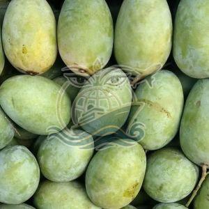 A Grade Green Malda Mango