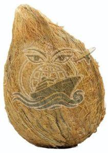 A Grade Large Semi Husked Coconut