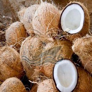 A Grade Solid Semi Husked Coconut