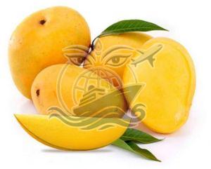 Fresh Alphonso Mango