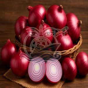 Fresh Nashik Red Onion