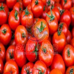 Fresh Red Tomato