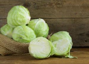 Fresh Cabbage