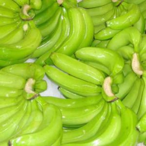 Fresh Cavendish Bananas