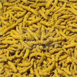 Alleppey Turmeric Finger