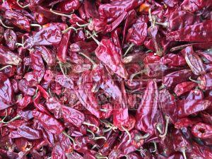 Chatpata Dry Red Chilli