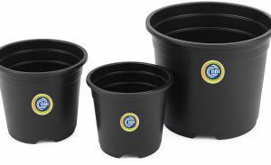 Black Plastic Nursery Pot