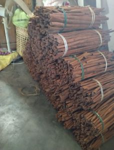 Polished Cinnamon Sticks