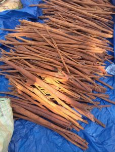 Polished Cinnamon Sticks