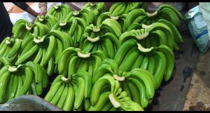 Fresh Green Banana