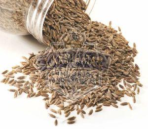 A Grade Cumin Seeds