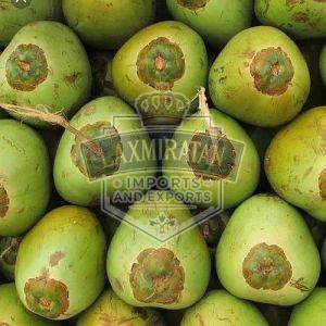 A Grade Tender Coconut