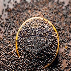 Black Mustard Seeds