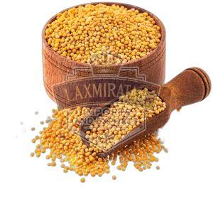 Yellow Mustard Seeds