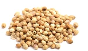 Golden Coriander Seeds
