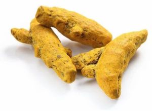 High Curcumin Turmeric Fingers