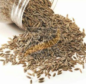 Aromatic Indian Cumin Seeds