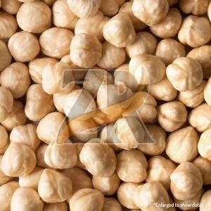 Fresh Organic Macadamia Nuts