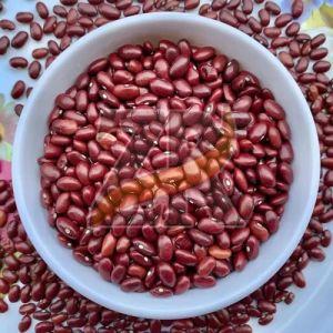 Premium Quality Red Kidney Beans