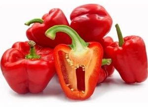 Red Capsicum Bell Pepper