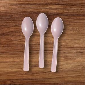 Bagasse Spoons