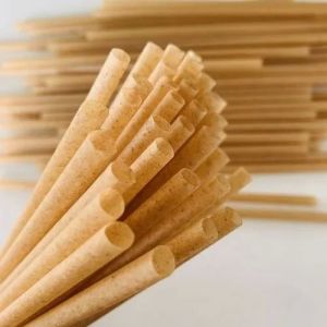Bagasse Straws
