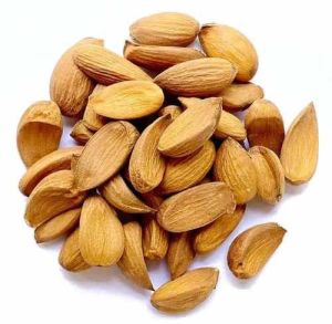 Organic Mamra Badam High Protein Nut