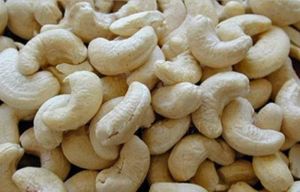 W400 Unsalted Whole Cashew Nut