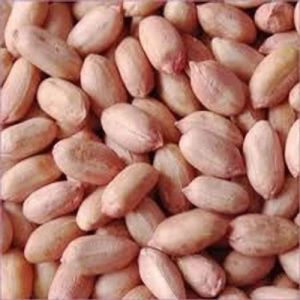 Peanut Kernels