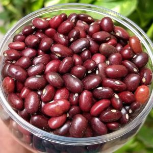Red Kidney Beans
