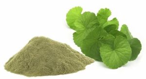 Brahmi Herbal Brain Powder