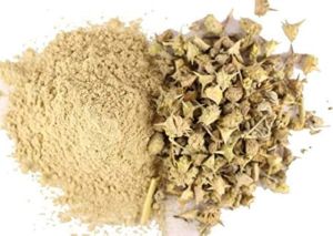 Gokhru Strength Booster Powder