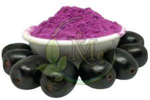 Dehydrated Jamun Powder
