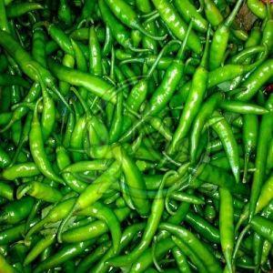 Fresh Green Chilli