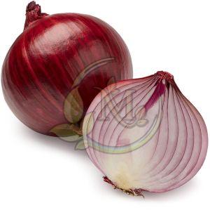 Fresh Red Onion