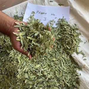 Single Clean Prime 3 Senna Leaves