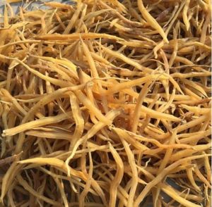 Nepali Shatavari Roots