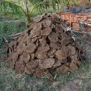 Dry Cow Dung Cake