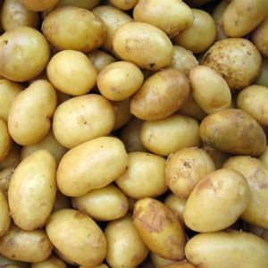 Fresh Brown Potato
