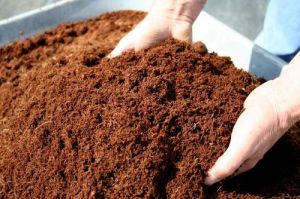 Vermicompost Manure